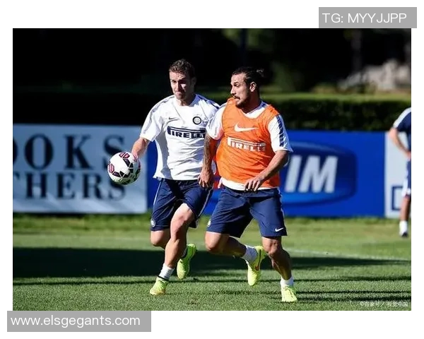 加的夫城迎战西布朗展现英冠激烈对决精彩瞬间回顾